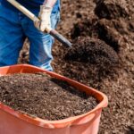 Organic Manure — export quality, packed in HDPE bags, India